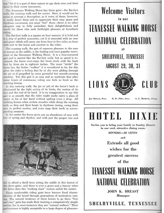 History Of The Tennessee Walking Horse - Page 9 380785_2776611182226_1466511008_32895285_285646640_n