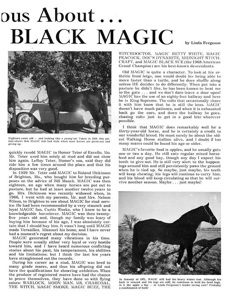 History Of The Tennessee Walking Horse - Page 8 AllensBlackMagic2