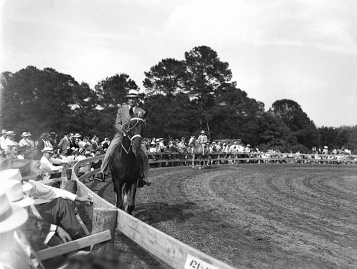 Photos & Memorabilia - Page 10 FloridaHorseShow11