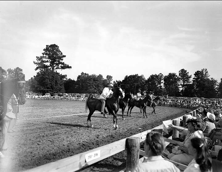 Photos & Memorabilia - Page 10 FloridaHorseShow12