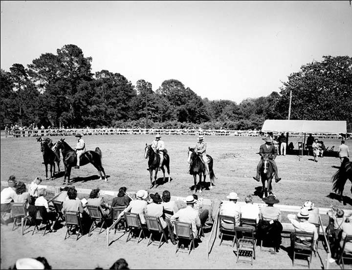 Photos & Memorabilia - Page 10 FloridaHorseShow14