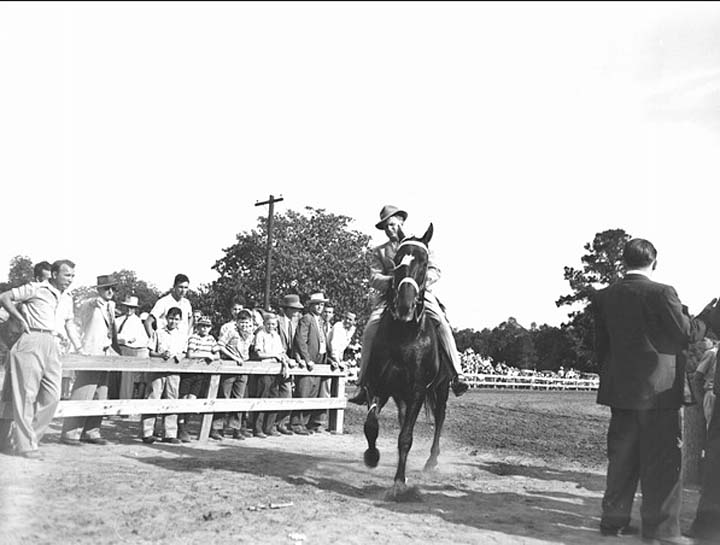 Photos & Memorabilia - Page 10 FloridaHorseShow15