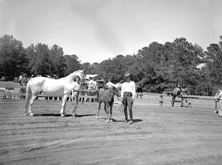 Photos & Memorabilia - Page 10 FloridaHorseShow4