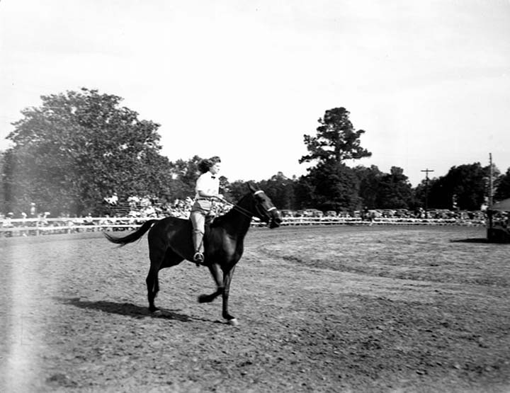 Photos & Memorabilia - Page 10 FloridaHorseShow7