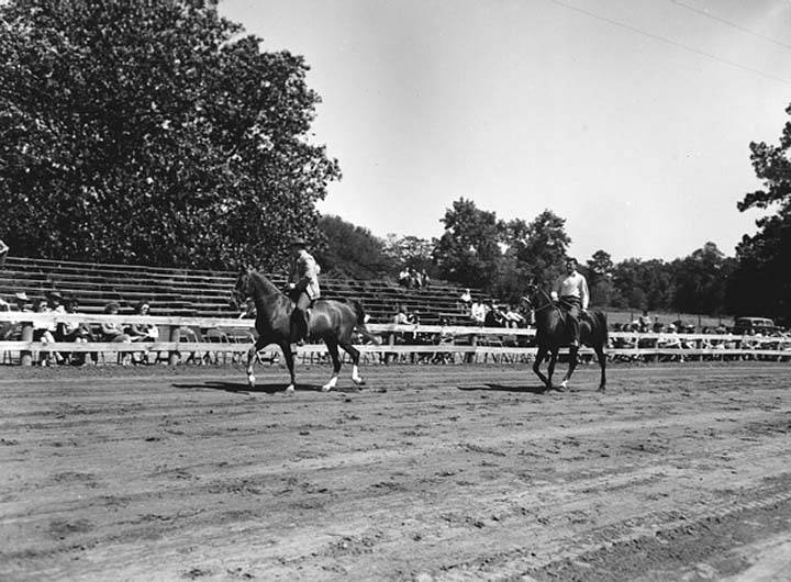 Photos & Memorabilia - Page 10 FloridaHorseShow8