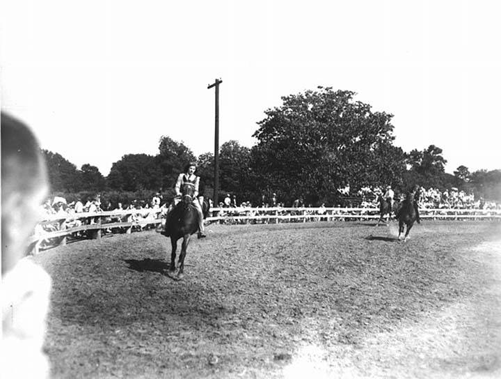 Photos & Memorabilia - Page 10 FloridaHorseShow9