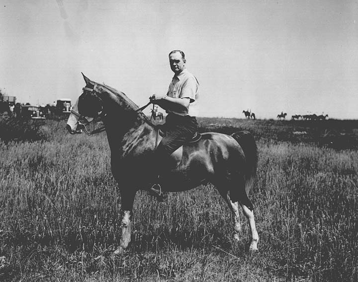 History Of The Tennessee Walking Horse - Page 7 FloweringGoldTrumanWard1940