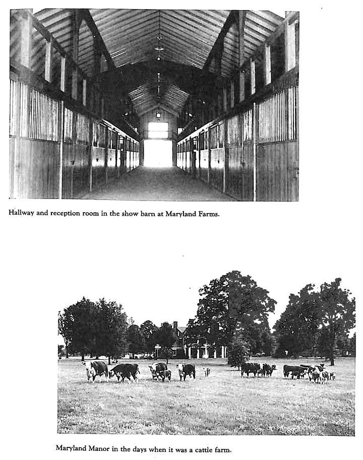 Photos & Memorabilia - Page 8 MarylandManorStables8