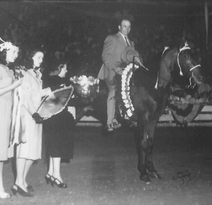 History Of The Tennessee Walking Horse - Page 8 MerryGoBoyWinstonWiserCelebrationWinShot