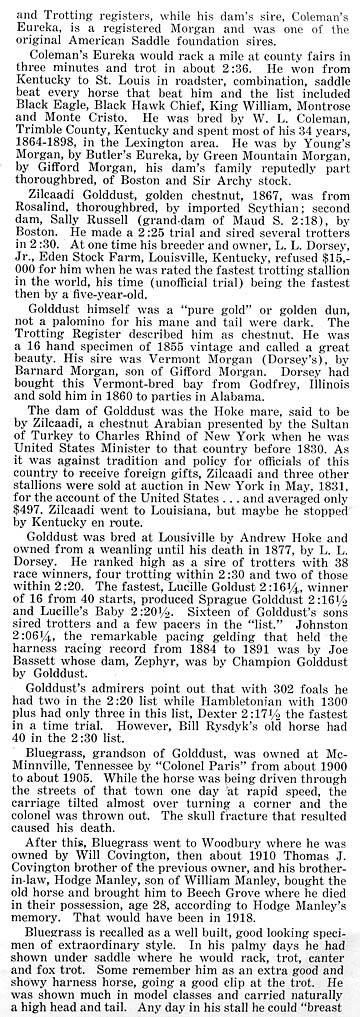 History Of The Tennessee Walking Horse - Page 8 Morgan10