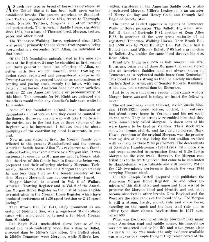 History Of The Tennessee Walking Horse - Page 8 Morgan3