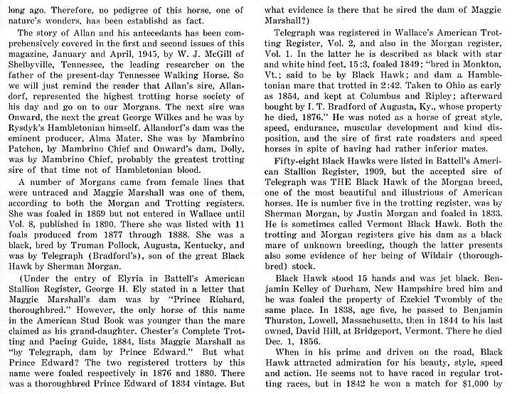 History Of The Tennessee Walking Horse - Page 8 Morgan4