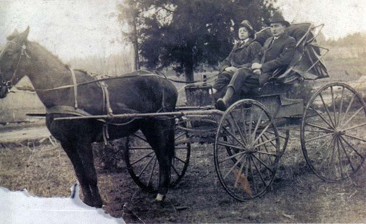 History Of The Tennessee Walking Horse - Page 7 NoahTN1913