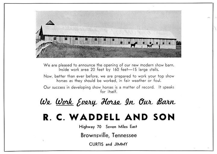 Photos & Memorabilia - Page 10 RCWaddellSonStablesAd