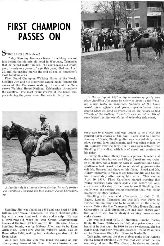 History Of The Tennessee Walking Horse - Page 9 StrollingJimDeath1