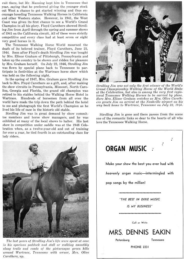 History Of The Tennessee Walking Horse - Page 9 StrollingJimDeath2