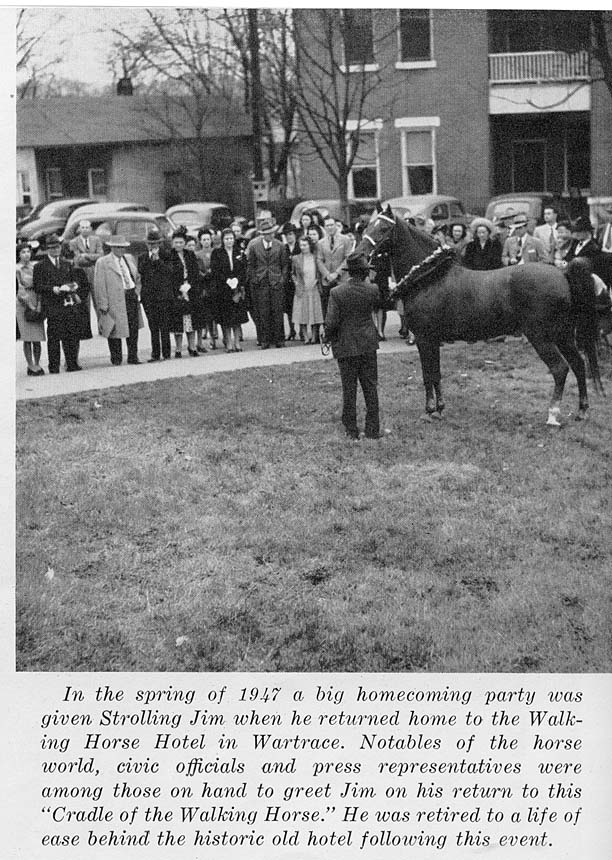 History Of The Tennessee Walking Horse - Page 8 StrollingJimHomecoming1