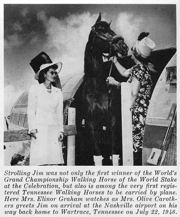 History Of The Tennessee Walking Horse - Page 8 StrollingJimonAirplane