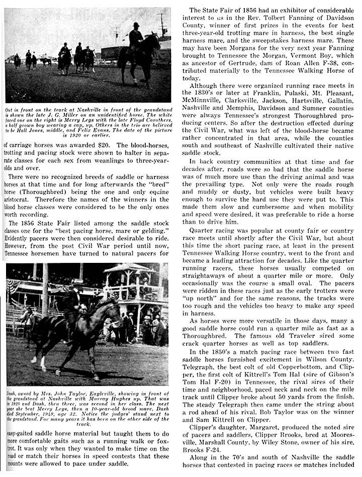 History Of The Tennessee Walking Horse - Page 9 TNHorseShowHistory2