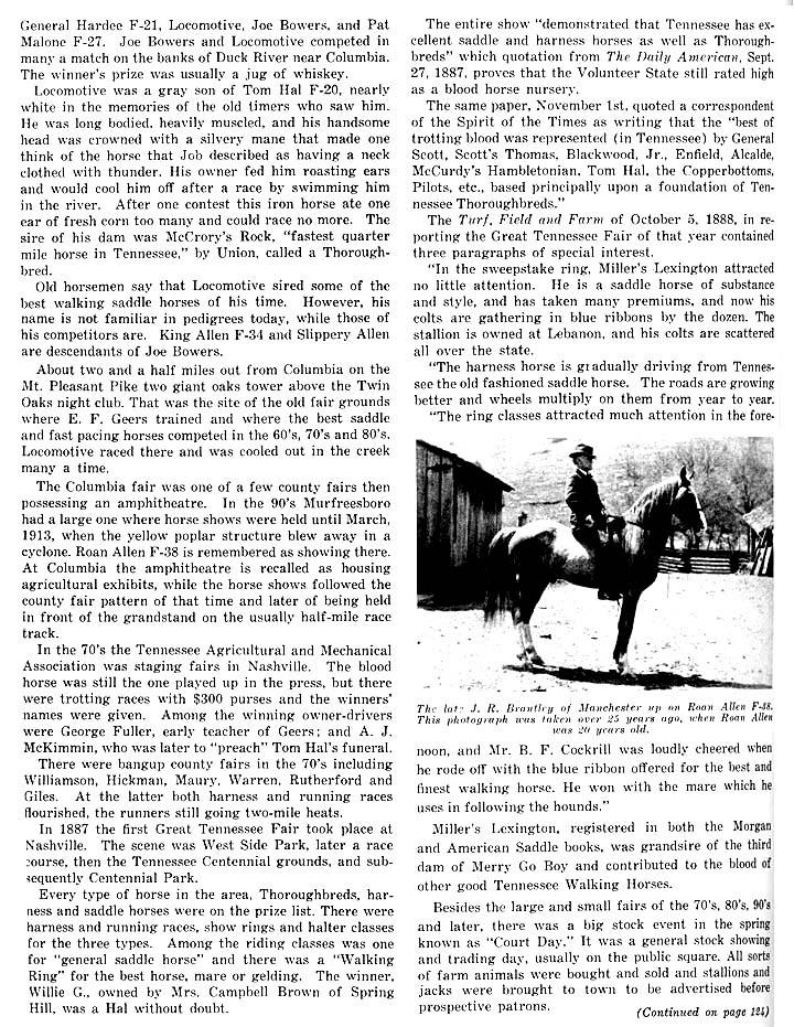 History Of The Tennessee Walking Horse - Page 9 TNHorseShowHistory3