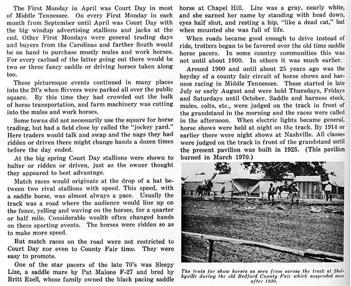 History Of The Tennessee Walking Horse - Page 9 TNHorseShowHistory4