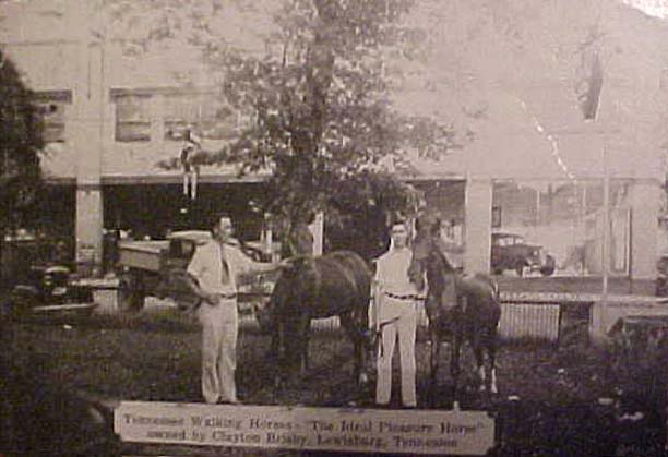 History Of The Tennessee Walking Horse - Page 9 TWHLewisburgPostCard