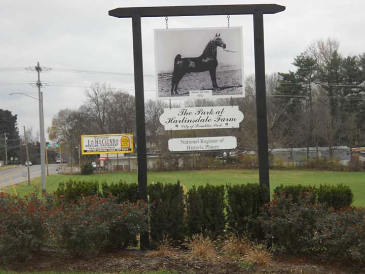 History Of The Tennessee Walking Horse - Page 4 DSCN1269_0198