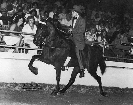 The BEST of Walking Horse Trivia! - Page 15 GoBoysMerryMaidChuckFinney