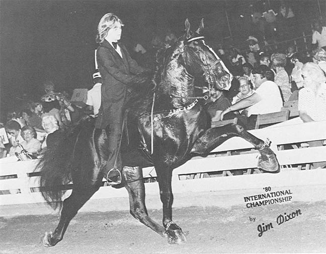 The BEST of Walking Horse Trivia! - Page 15 HappyHollowCurious