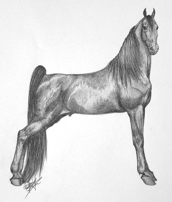 Equine Art - Page 4 PushoversPowerstrokeDrawing