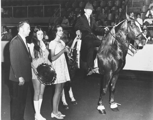 The BEST of Walking Horse Trivia! - Page 15 SettingSunsApolloJoeVanClayton