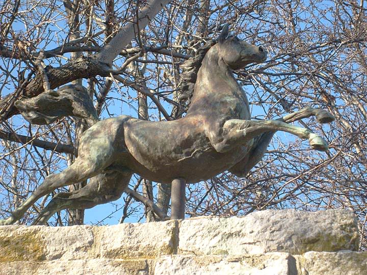 Equine Art Stallion3