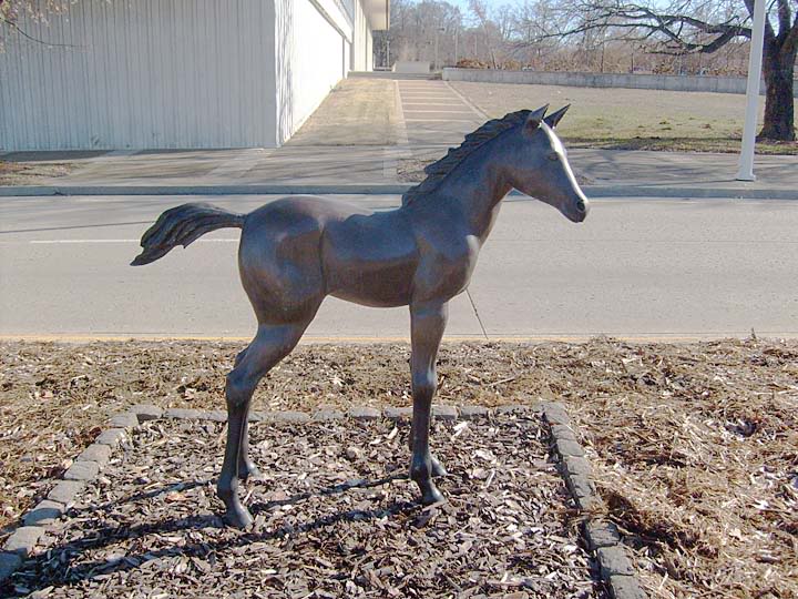 Equine Art Weanling2