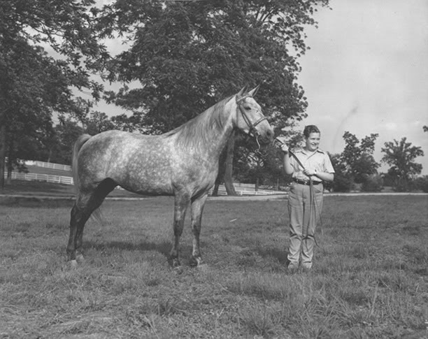 The BEST of Walking Horse Trivia! - Page 7 JimmyWardMarylandFArm