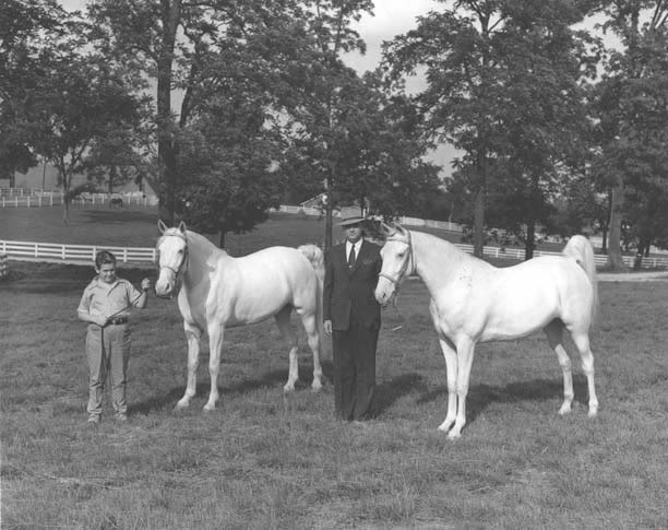 The BEST of Walking Horse Trivia! - Page 7 MarylandFarmOwner