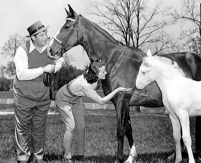 The BEST of Walking Horse Trivia! - Page 7 MrMrsAndyDevineatMarylandFarm2