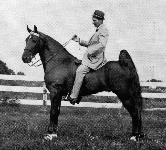 The BEST of Walking Horse Trivia! - Page 11 OldGlorysShepherdDixieWeaver