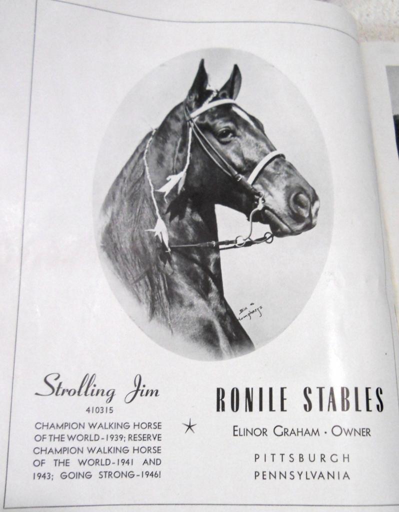 History Of The Tennessee Walking Horse - Page 10 StrollingJimAd