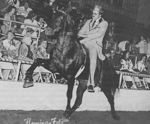 The BEST of Walking Horse Trivia! - Page 12 10-3Mon