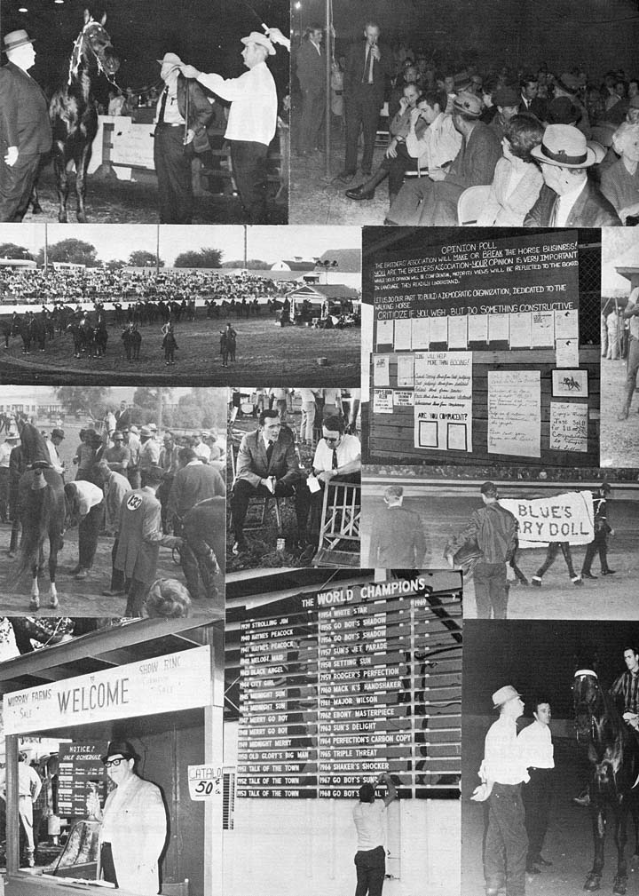 Trivia Archive 8 - Page 3 1969Collage