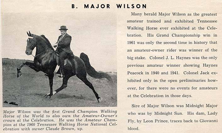 History Of The Tennessee Walking Horse - Page 5 BMajorWilson