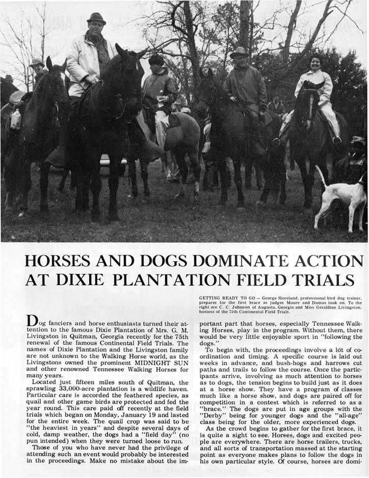 Pleasure, Trail, Versatility, etc. - Page 18 DixiePlantationFieldTrialArticle1