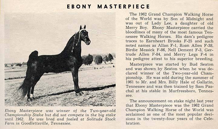 History Of The Tennessee Walking Horse - Page 5 EbonyMasterpiece