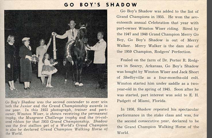 History Of The Tennessee Walking Horse - Page 6 GoBoysShadow-1