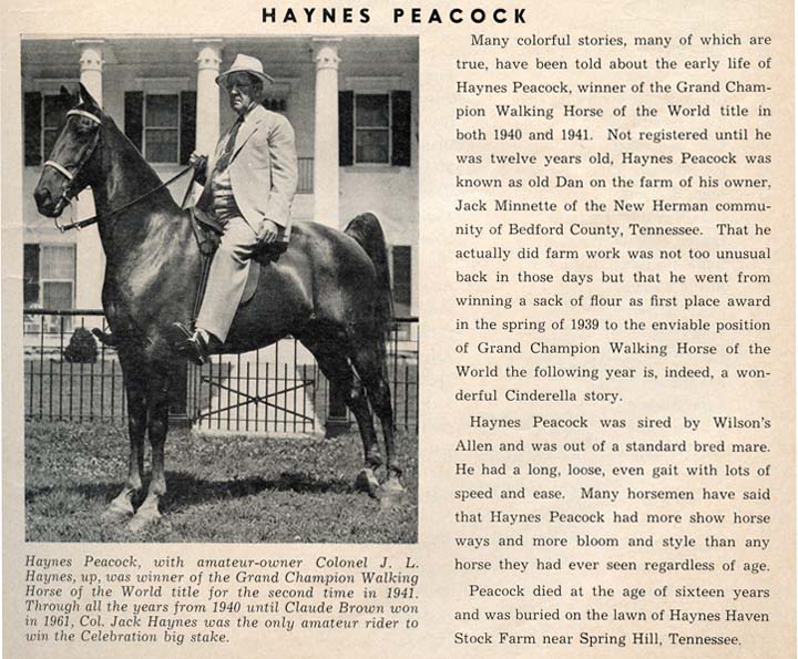 Trivia Archive 5 - Page 37 HaynesPeacock-1