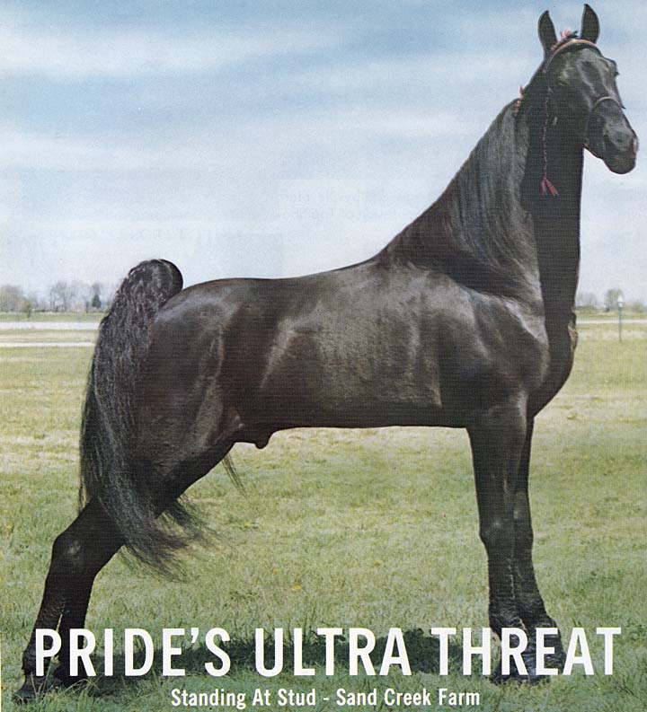 Trivia Archive 8 - Page 26 PridesUltraThreatAd