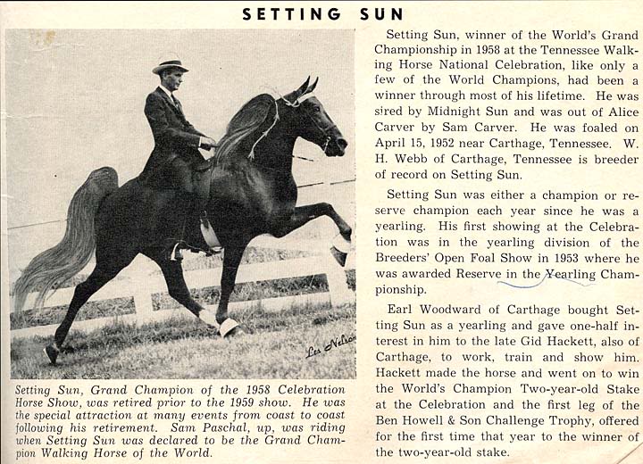 History Of The Tennessee Walking Horse - Page 6 SettingSun