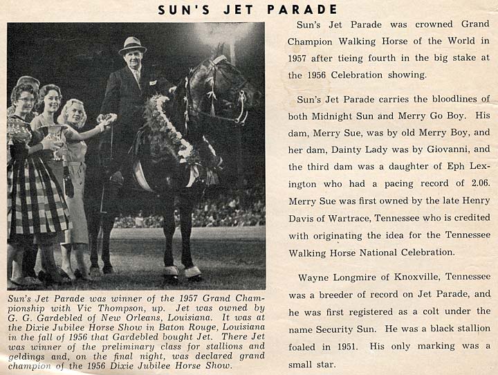 History Of The Tennessee Walking Horse - Page 6 SunsJetParade