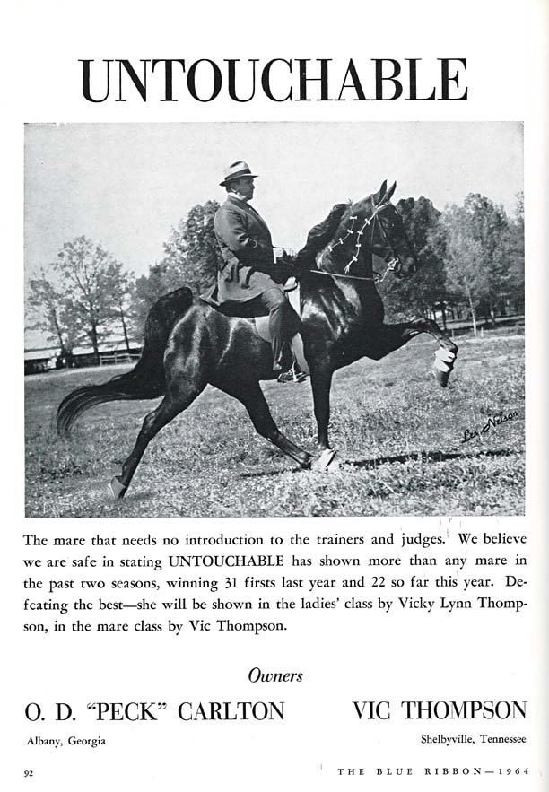 The BEST of Walking Horse Trivia! - Page 15 Untouchable