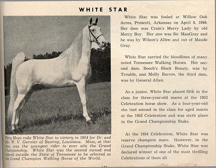 History Of The Tennessee Walking Horse - Page 6 WhiteStarcopy